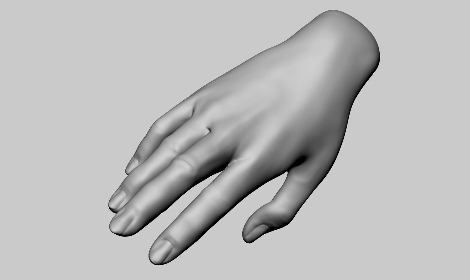 Kvinnlig hand utskrivbar 3d model