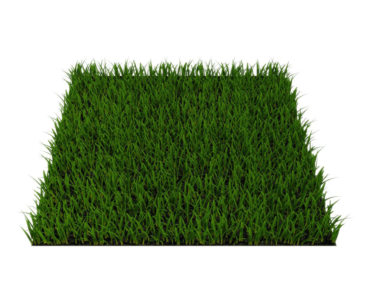 grass 3d model