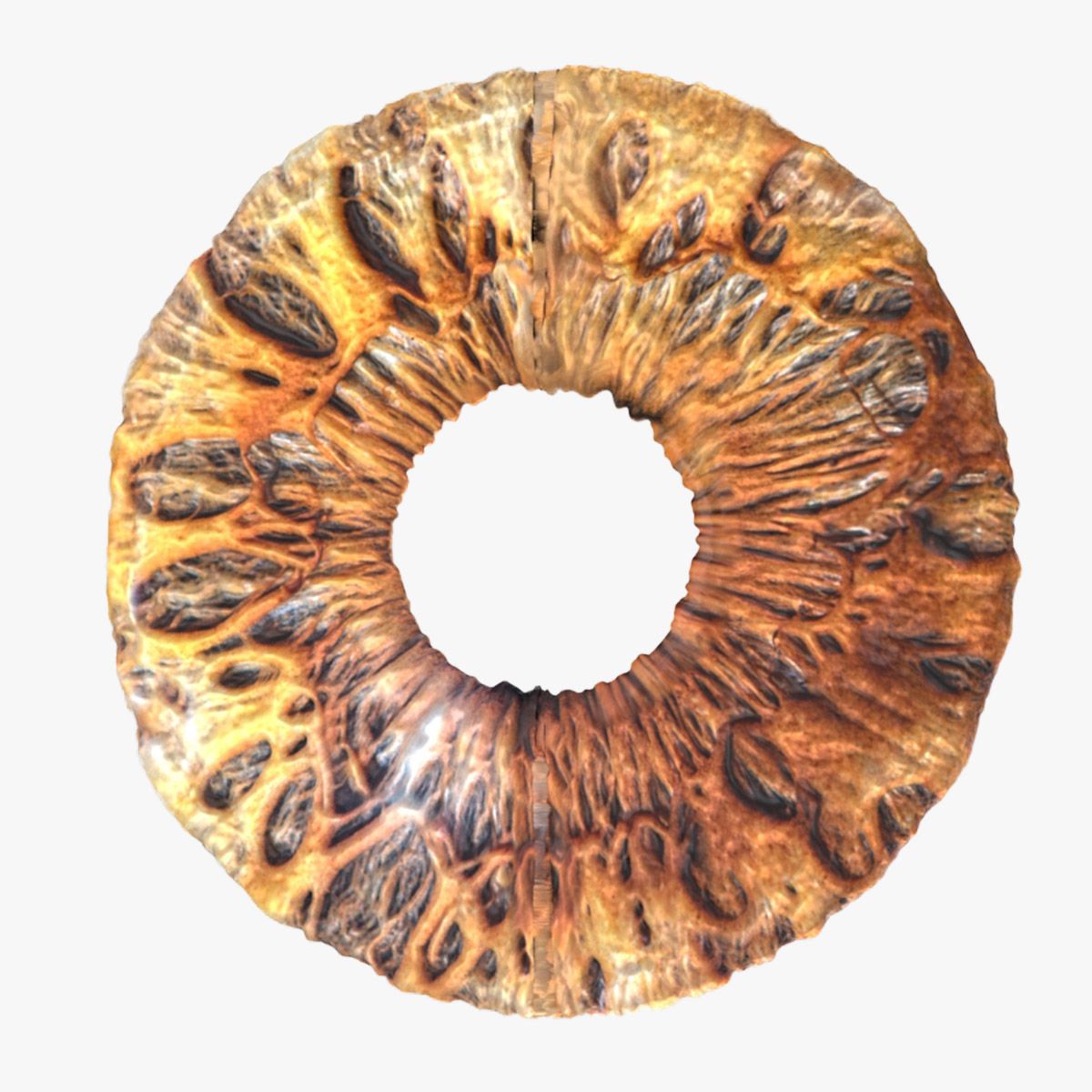 Menselijke Iris 3d model